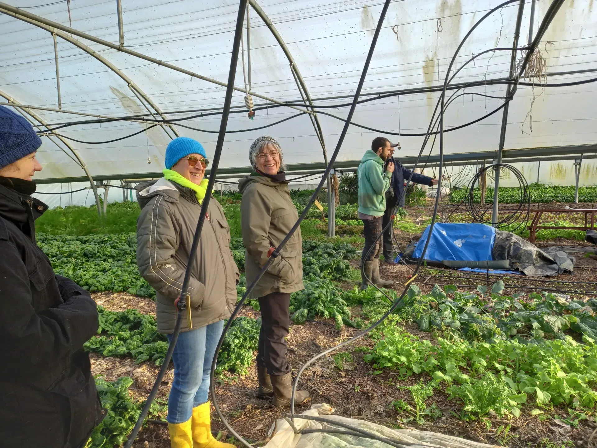 Journée d'immersion à la ferme